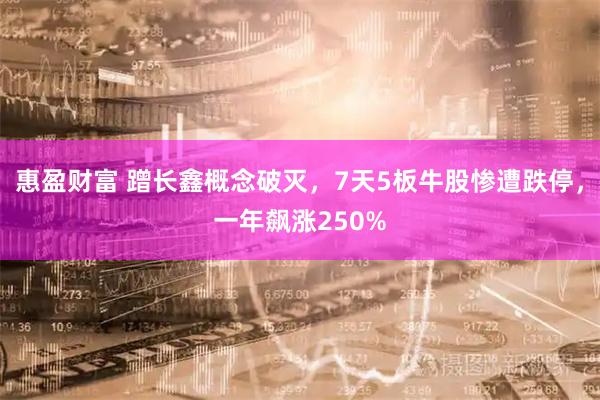 惠盈财富 蹭长鑫概念破灭，7天5板牛股惨遭跌停，一年飙涨250%